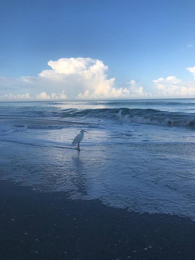 Naples Dream At Wtc With Heated Pool Spa Sauna 7 Bicycles And 3 Mls To Beach Εξωτερικό φωτογραφία
